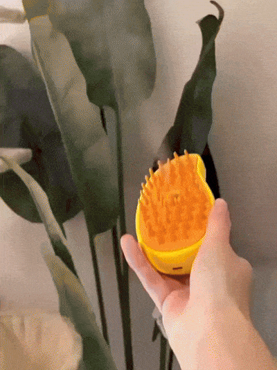 Combo Spa Peluditos