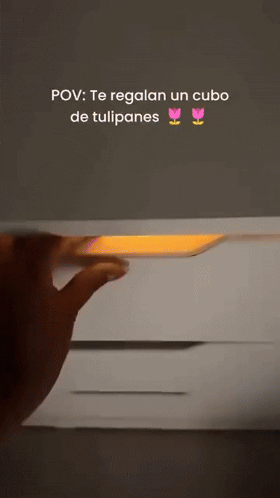 Noche de Tulips